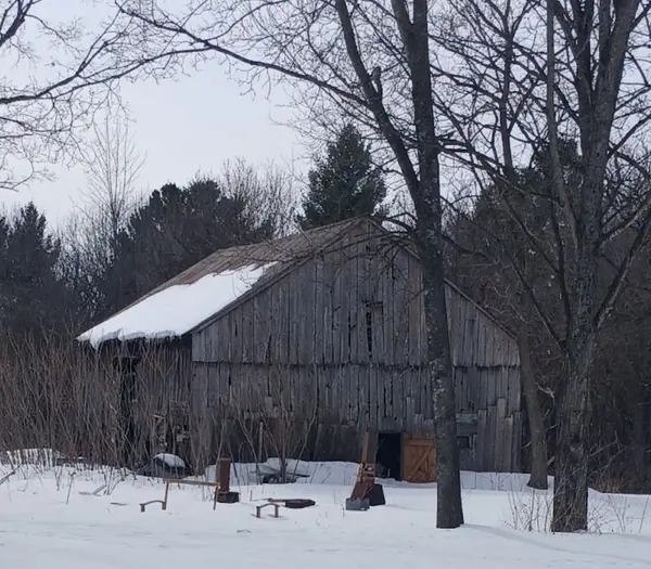 3686 MAPLE AVE, Augusta, ON K0E 1T0