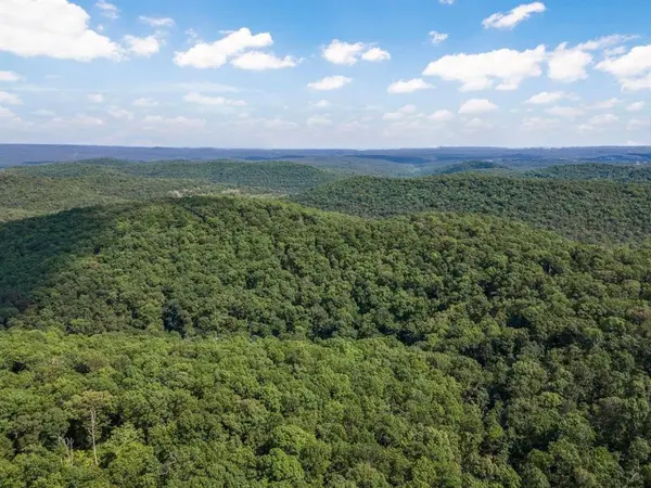 3405 State Hwy JJ, Branson, MO 65672