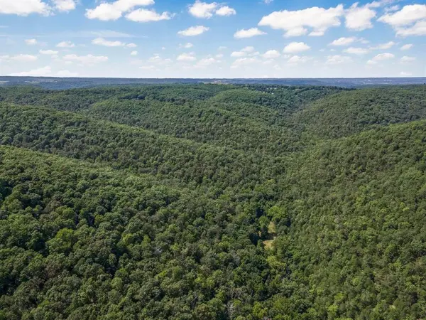 3405 State Hwy JJ, Branson, MO 65672