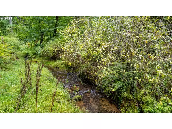 Banks, OR 97106,0 NW Green Mountain Rd. #1