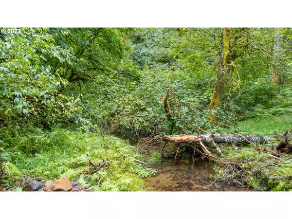 Banks, OR 97106,0 NW Green Mountain Rd. #1