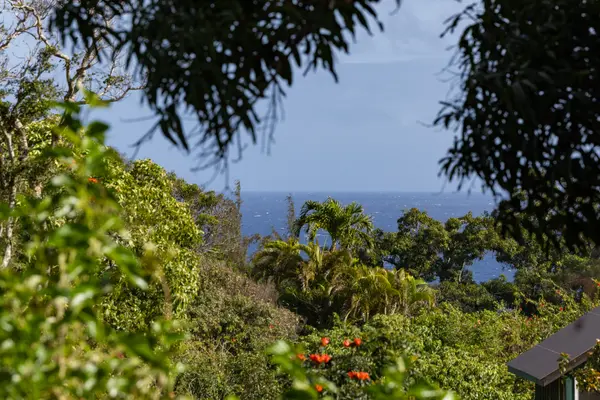 52-284 KEOKEA PARK RD, Kapaau, HI 96755