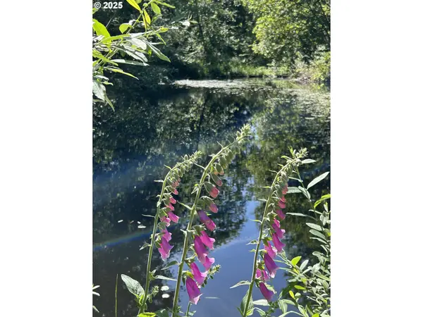 1 E Brightwood Loop RD, Brightwood, OR 97011