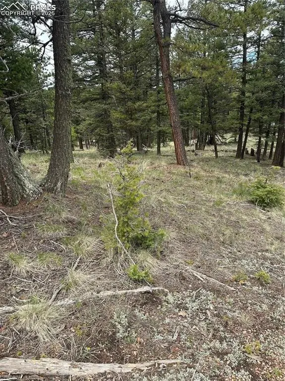 1120/1086 N Mountain Estates RD, Florissant, CO 80816