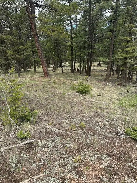 1120/1086 N Mountain Estates RD, Florissant, CO 80816