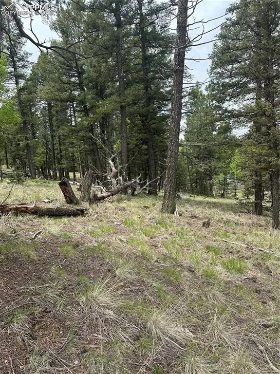 1120/1086 N Mountain Estates RD, Florissant, CO 80816