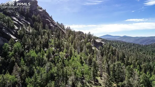 235 Hay Creek RD, Florissant, CO 80816