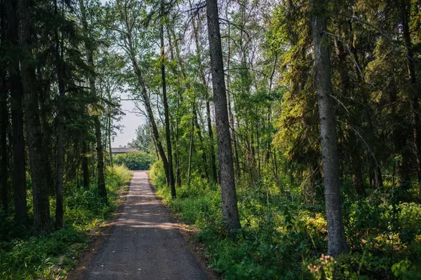 28124 Township Road 412 #10, Rural Lacombe County, AB T4L 2N3