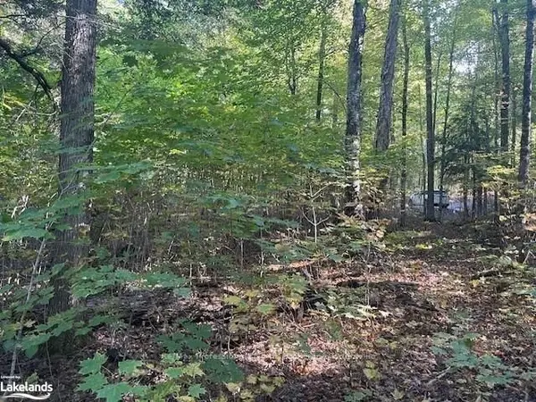 2 STONE GATE LN, Bracebridge, ON P1L 1X3