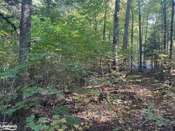 2 STONE GATE LN, Bracebridge, ON P1L 1X3