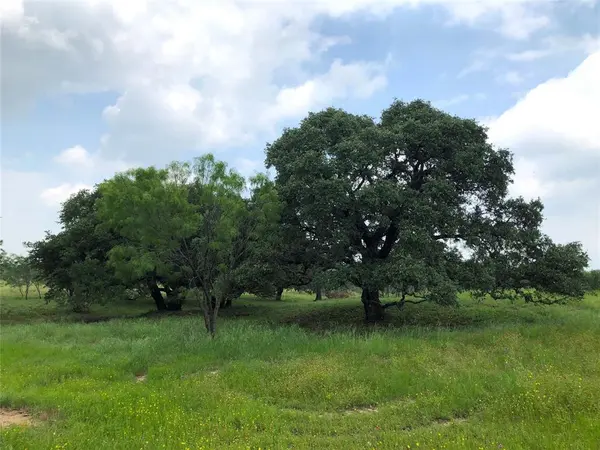 Lot 30 Ledge Stone Lane, Blanket, TX 76432