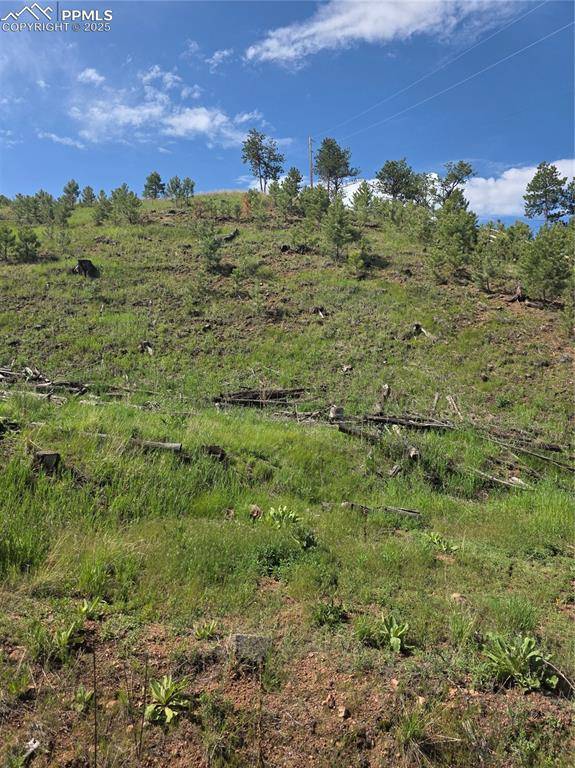 14874 Evergreen PL, Woodland Park, CO 80863