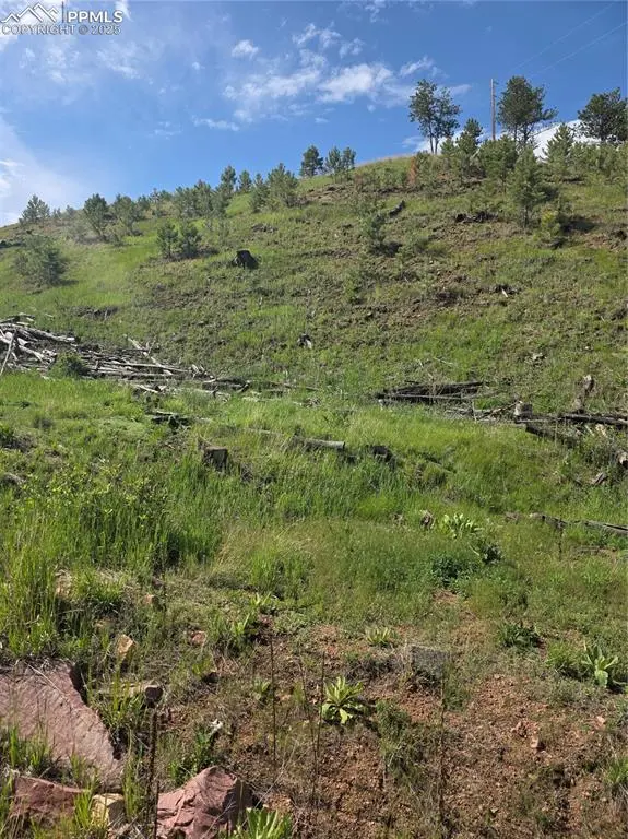 14874 Evergreen PL, Woodland Park, CO 80863