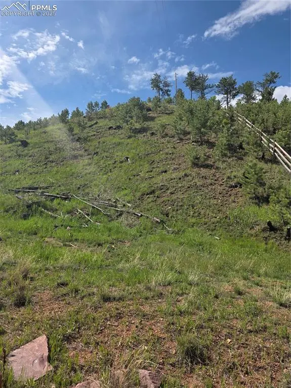 14874 Evergreen PL, Woodland Park, CO 80863