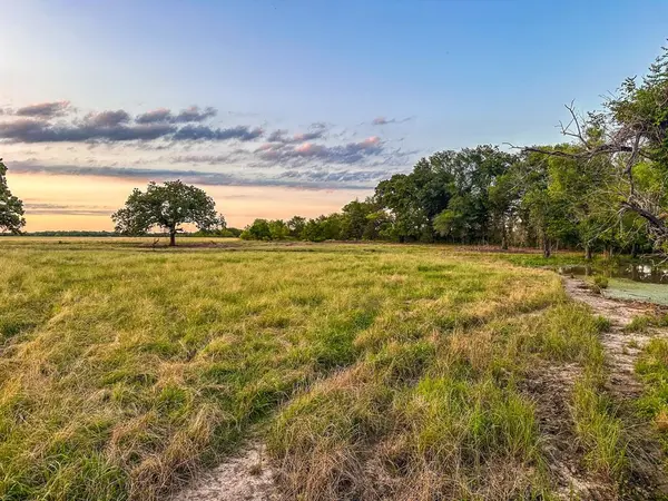 000 CR 2245, Ivanhoe, TX 75447