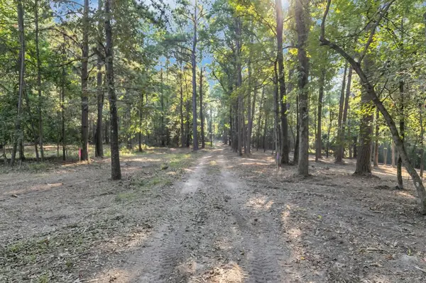 Lot 20-B Eastside Road, Tyler, TX 75707