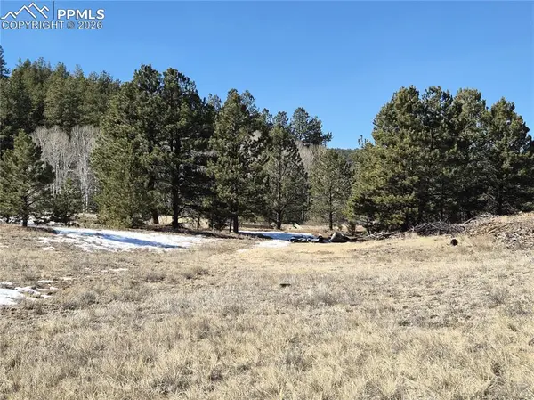 38340 Highway 24, Lake George, CO 80827