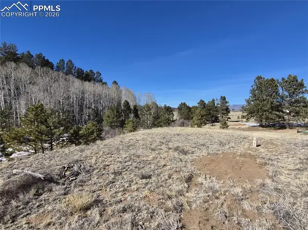 38340 Highway 24, Lake George, CO 80827