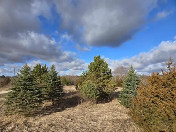 12A68 Washington Drive, Apple River, IL 61001