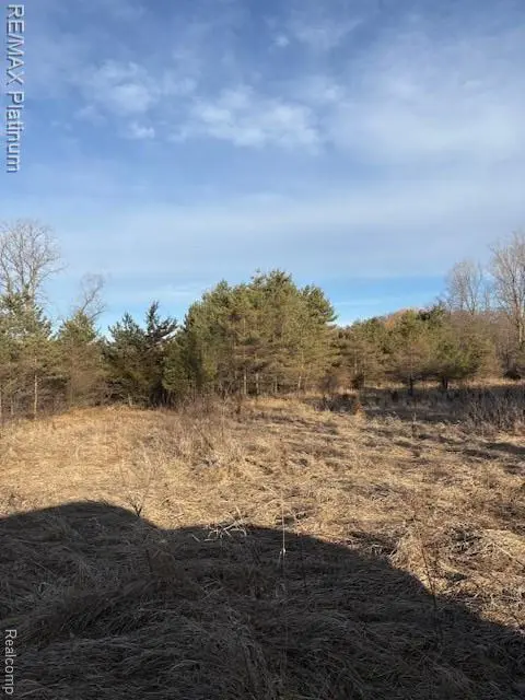 00 Pineway Trail, Howell Township, MI 48855