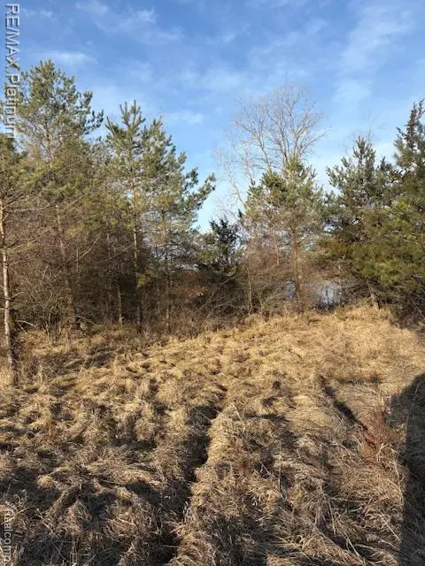 00 Pineway Trail, Howell Township, MI 48855