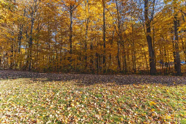 17 Maple Ridge RD, Oro-medonte, ON L0L 2L0