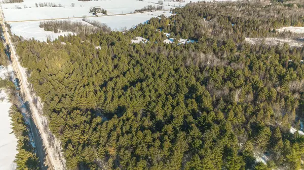 1671 Micksburg RD, Admaston/bromley, ON K0J 1K0