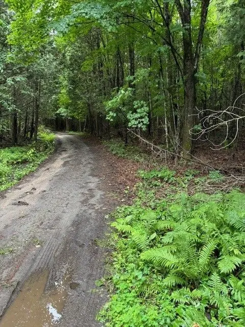 Lot 70 25th Line, Algonquin Highlands, ON K0M 1J1