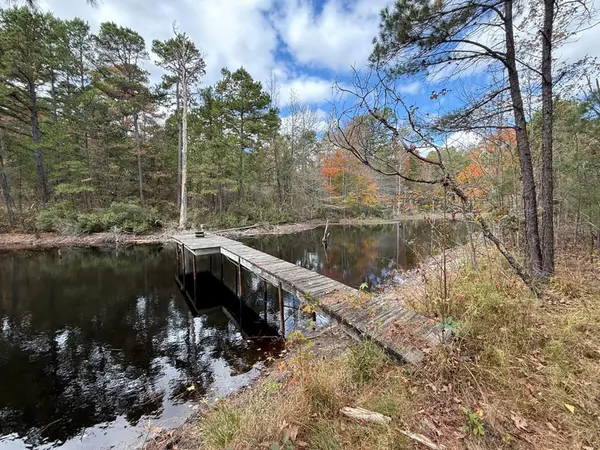 TBD Stag Road, Gilmer, TX 75644