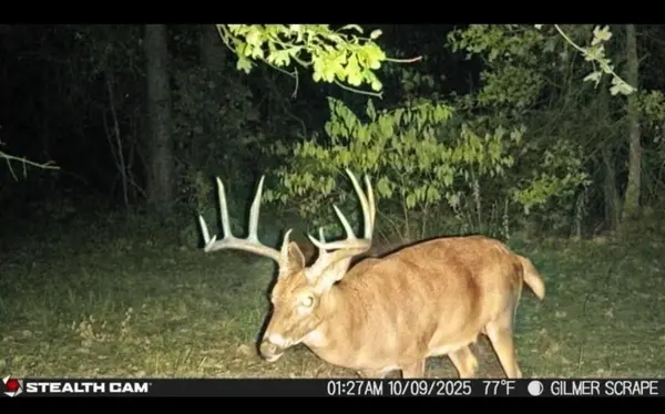 TBD Stag Road, Gilmer, TX 75644