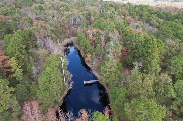 TBD Stag Road, Gilmer, TX 75644