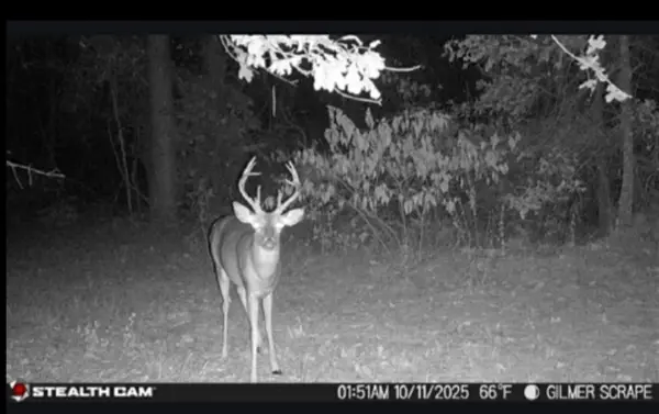 TBD Stag Road, Gilmer, TX 75644