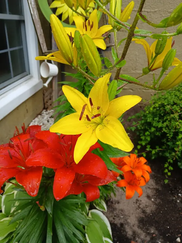 40 Zion RD, Quinte West, ON K0K 2C0