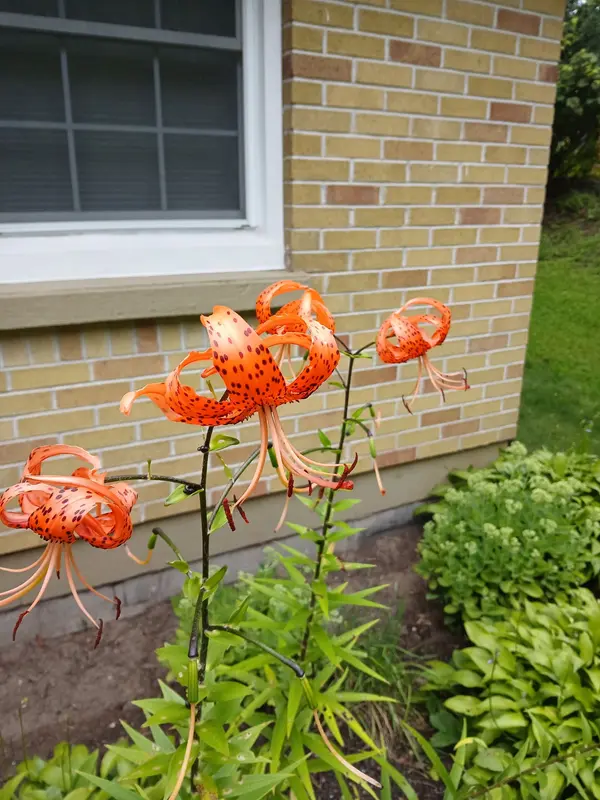 40 Zion RD, Quinte West, ON K0K 2C0