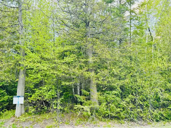 7110 Gallagher RD, Manotick - Kars - Rideau Twp And Area, ON K0A 2T0