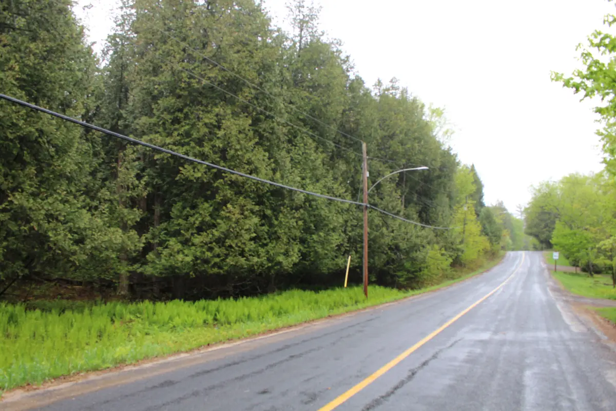 TBD Kashagawigamog Lake RD, Minden Hills, ON K0M 2K0