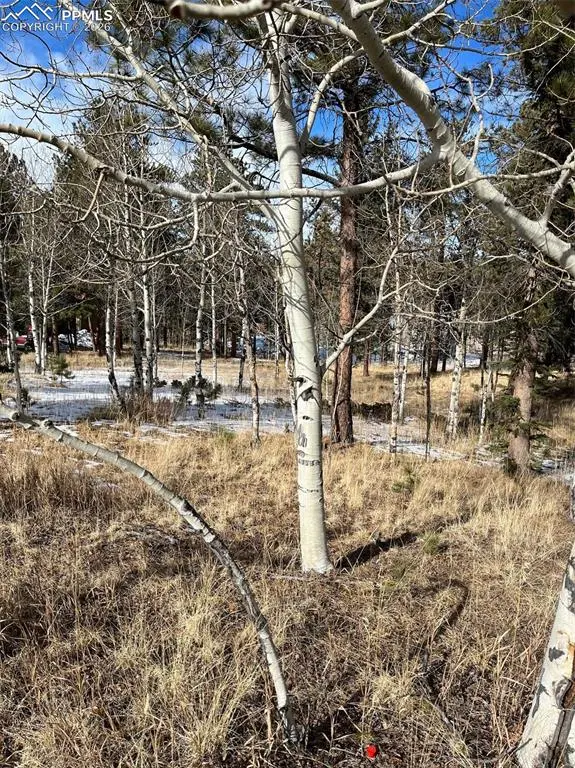 630 PEMBROOK DR, Woodland Park, CO 80863