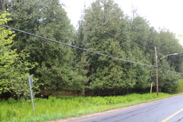 TBD Kashagawigamog Lake RD, Minden Hills, ON K0M 2K0