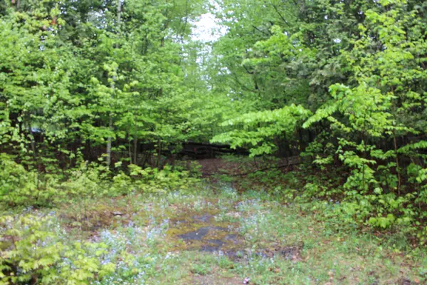 TBD Kashagawigamog Lake RD, Minden Hills, ON K0M 2K0