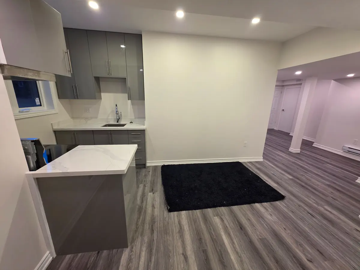 301 Seaview HTS #BSMT, East Gwillimbury, ON L9N 0S3