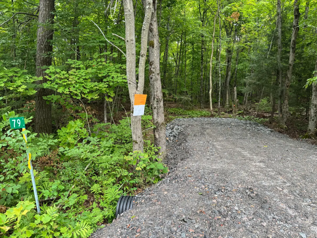 79 Pine Grove RD, Parry Sound Remote Area, ON P0H 1S0