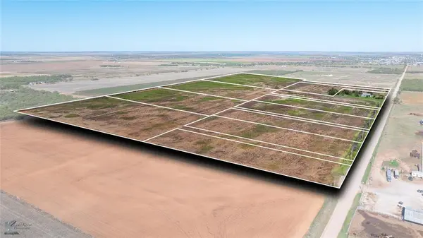 TBD Lot 29 County Road 497, Anson, TX 79501