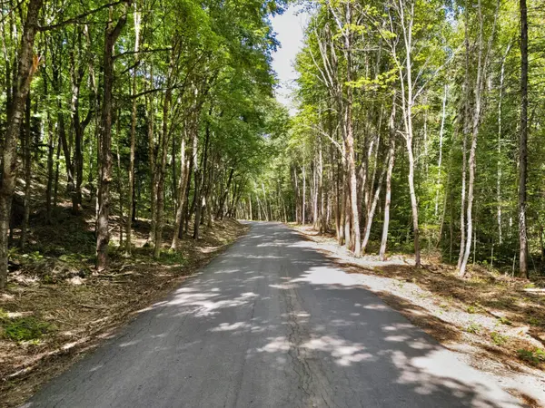 0 Nithgrove RD, Lake Of Bays, ON P0B 1A0