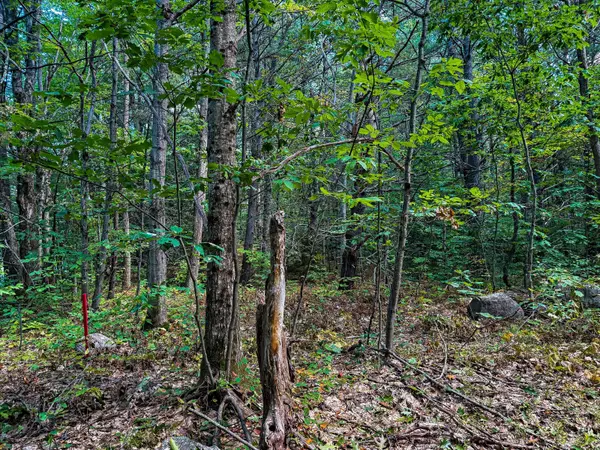 0 Langford RD, Lake Of Bays, ON P0B 1A0