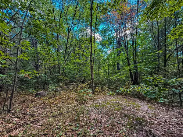 0 Langford RD, Lake Of Bays, ON P0B 1A0