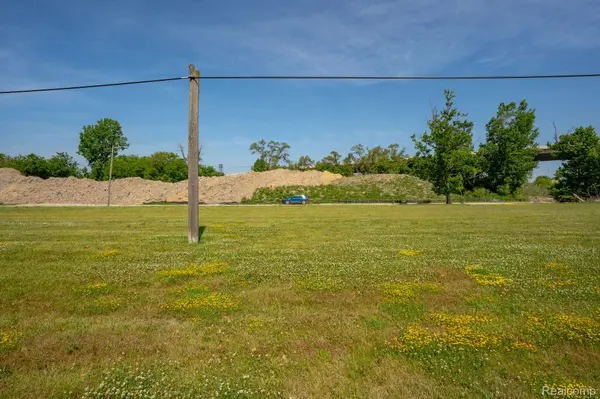 769 S Liddesdale ST, Detroit, MI 48217