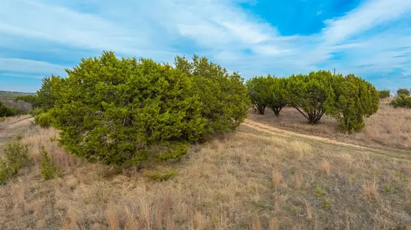 6510 US HWY-83, Ovalo, TX 79541