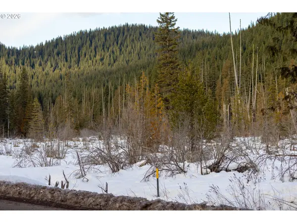 Government Camp, OR 97028,93732 E HIGHWAY 26