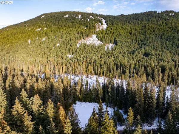 Government Camp, OR 97028,93732 E HIGHWAY 26