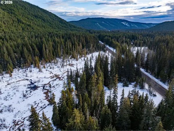 93732 E HIGHWAY 26, Government Camp, OR 97028